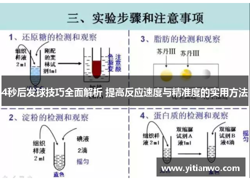 4秒后发球技巧全面解析 提高反应速度与精准度的实用方法
