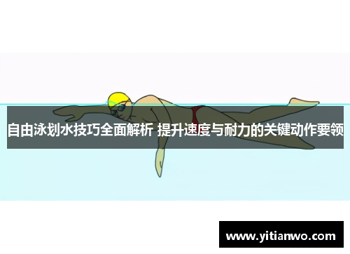 自由泳划水技巧全面解析 提升速度与耐力的关键动作要领