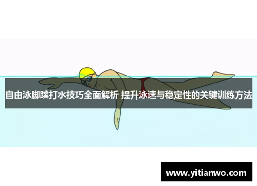 自由泳脚蹼打水技巧全面解析 提升泳速与稳定性的关键训练方法